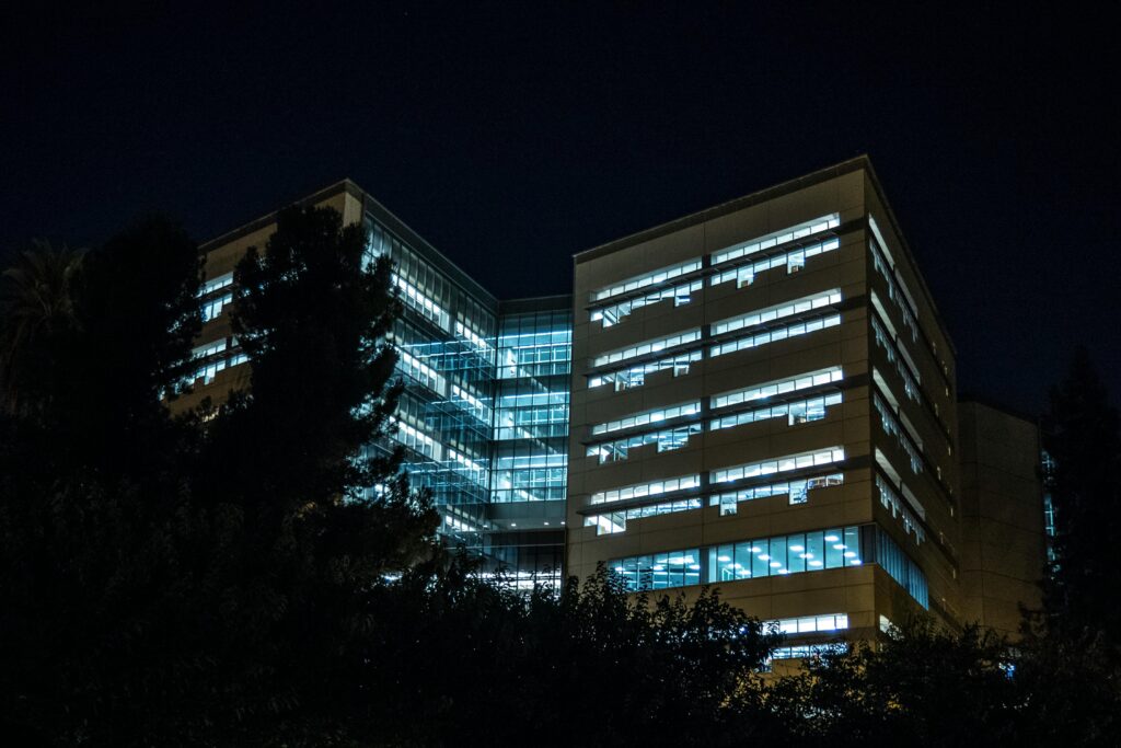 Silhouette of Trees Near Buildings